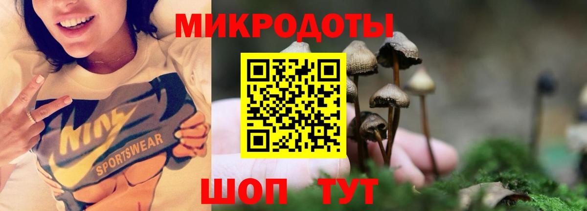 Галлюциногенные грибы мухоморы  Псилоцибиновые грибы мицелий  Вход с VPN  Клинцы 